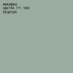 #9AABA0 - Pewter Color Image