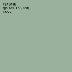 #9AB19E - Envy Color Image