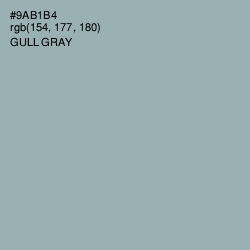 #9AB1B4 - Gull Gray Color Image