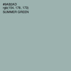 #9AB2AD - Summer Green Color Image