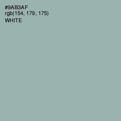 #9AB3AF - Summer Green Color Image