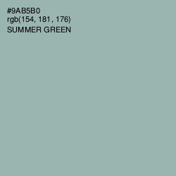 #9AB5B0 - Summer Green Color Image