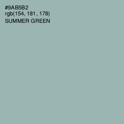 #9AB5B2 - Summer Green Color Image