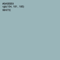 #9AB5B9 - Gull Gray Color Image