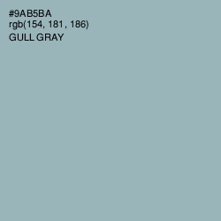 #9AB5BA - Gull Gray Color Image
