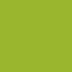 #9AB62E - Sushi Color Image