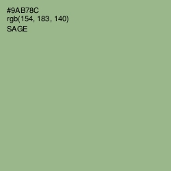 #9AB78C - Sage Color Image