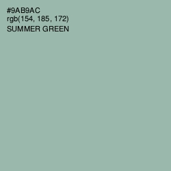 #9AB9AC - Summer Green Color Image