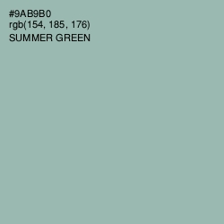 #9AB9B0 - Summer Green Color Image