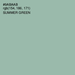 #9ABAAB - Summer Green Color Image