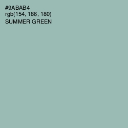 #9ABAB4 - Summer Green Color Image