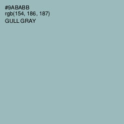 #9ABABB - Gull Gray Color Image