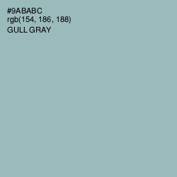 #9ABABC - Gull Gray Color Image