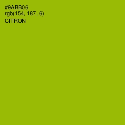 #9ABB06 - Citron Color Image