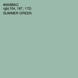 #9ABBAC - Summer Green Color Image