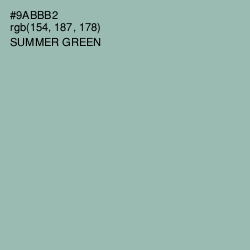 #9ABBB2 - Summer Green Color Image