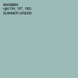 #9ABBB6 - Summer Green Color Image