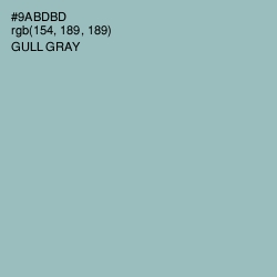 #9ABDBD - Gull Gray Color Image