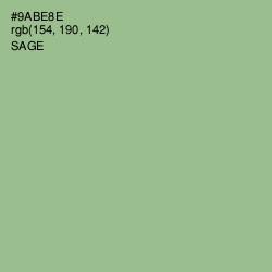 #9ABE8E - Sage Color Image