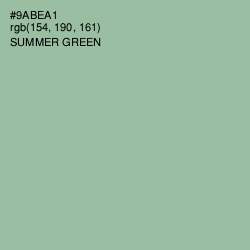 #9ABEA1 - Summer Green Color Image