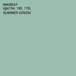 #9ABEAF - Summer Green Color Image