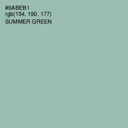 #9ABEB1 - Summer Green Color Image