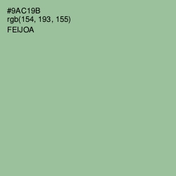 #9AC19B - Feijoa Color Image