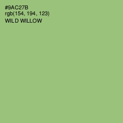 #9AC27B - Wild Willow Color Image