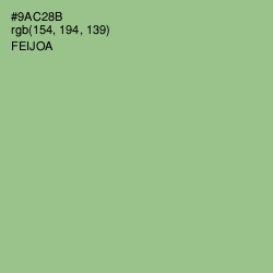 #9AC28B - Feijoa Color Image