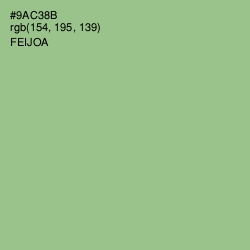 #9AC38B - Feijoa Color Image