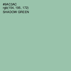 #9AC3AC - Shadow Green Color Image
