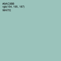 #9AC3BB - Shadow Green Color Image