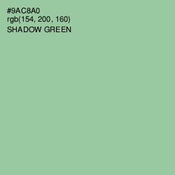 #9AC8A0 - Shadow Green Color Image