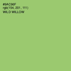 #9AC96F - Wild Willow Color Image