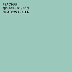 #9AC9BB - Shadow Green Color Image