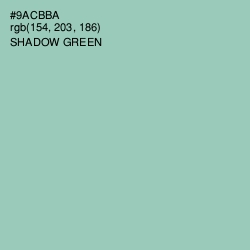 #9ACBBA - Shadow Green Color Image