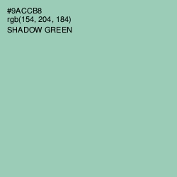 #9ACCB8 - Shadow Green Color Image