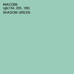 #9ACDB9 - Shadow Green Color Image