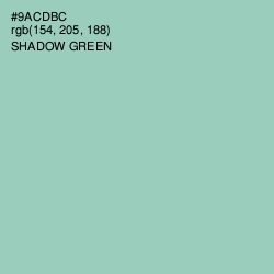 #9ACDBC - Shadow Green Color Image