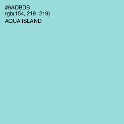 #9ADBDB - Sinbad Color Image