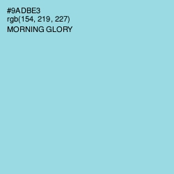 #9ADBE3 - Morning Glory Color Image