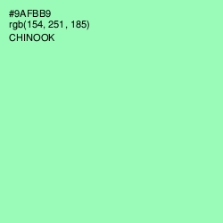 #9AFBB9 - Chinook Color Image