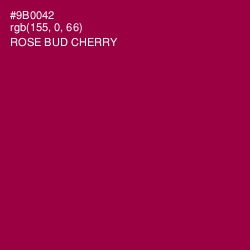 #9B0042 - Rose Bud Cherry Color Image
