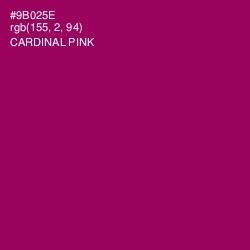#9B025E - Cardinal Pink Color Image