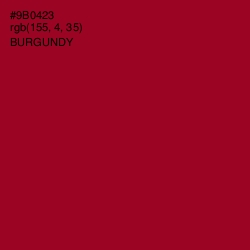 #9B0423 - Burgundy Color Image
