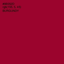 #9B052D - Burgundy Color Image