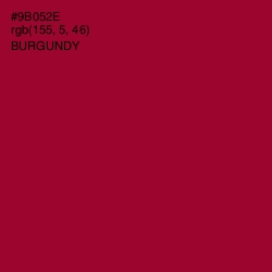 #9B052E - Burgundy Color Image