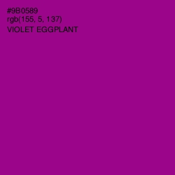 #9B0589 - Violet Eggplant Color Image