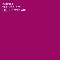 #9B0863 - Fresh Eggplant Color Image