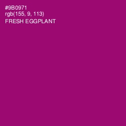 #9B0971 - Fresh Eggplant Color Image